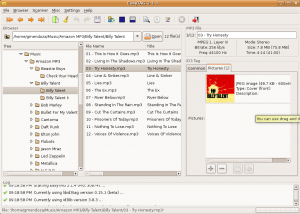 EasyTag Album Art